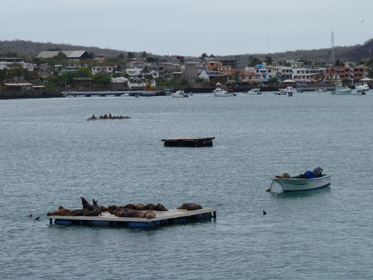 Hostal Nathaly Puerto Baquerizo Moreno Exterior foto